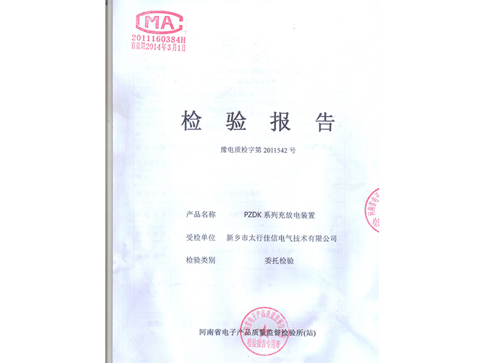 inspection report